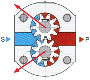 Efforts sur les pignons dus &agrave; la pression de refoulement